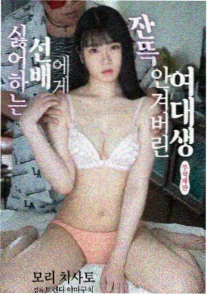 玫瑰的故事 高清免费